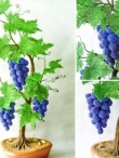 Gundančios vynuogės iš karoliukų