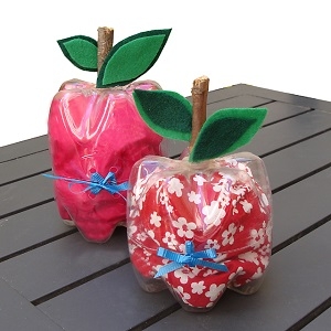 Obuolio formos dovanų dėžutė